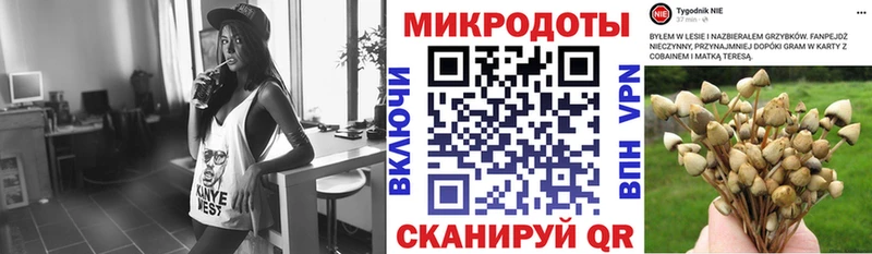 Галлюциногенные грибы Psilocybine cubensis  Харовск 